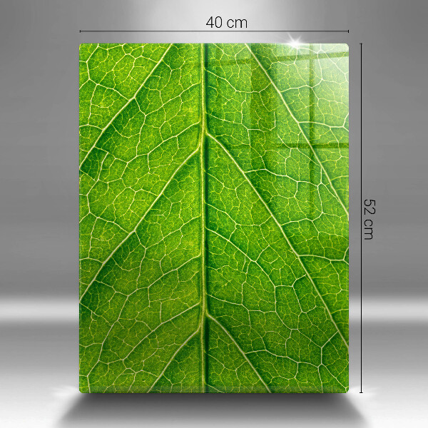 Induction hob protector Leaf lines nature