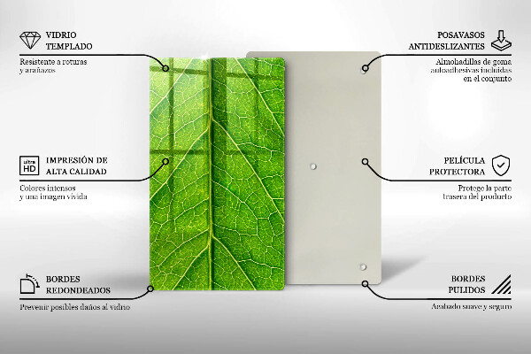 Induction hob protector Leaf lines nature