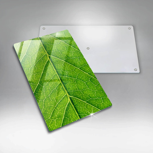 Induction hob protector Leaf lines nature