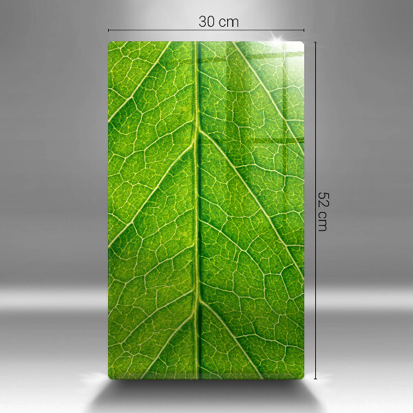 Induction hob protector Leaf lines nature