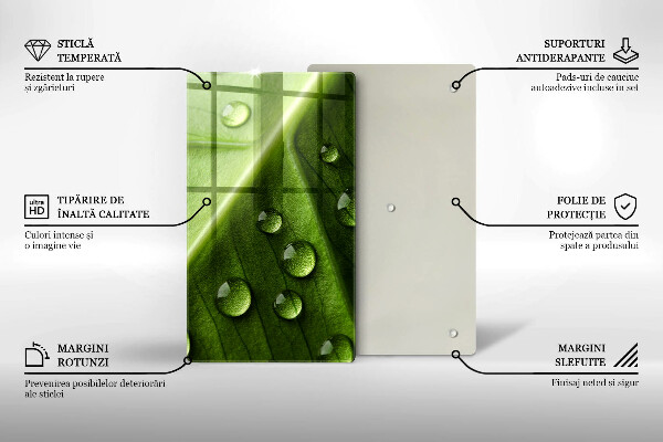 Induction hob protector Nature Rosa and Leaf