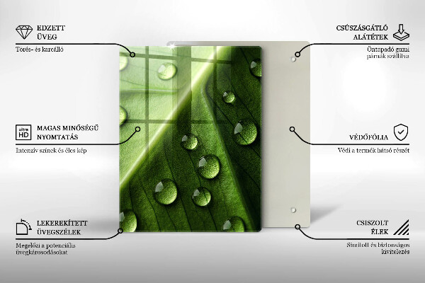 Induction hob protector Nature Rosa and Leaf