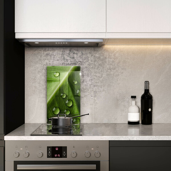 Induction hob protector Nature Rosa and Leaf