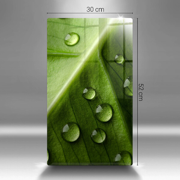 Induction hob protector Nature Rosa and Leaf