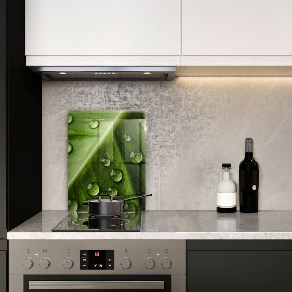 Induction hob protector Nature Rosa and Leaf