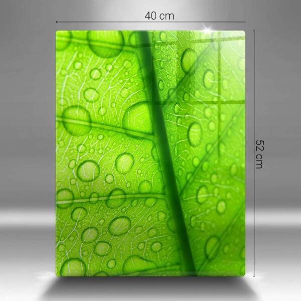 Work surface savers Leaf closer