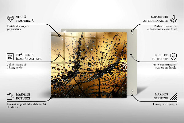 Kitchen worktop saver Rosa and dandelions