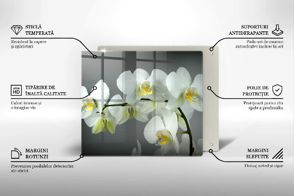 Kitchen worktop saver White orchid flowers