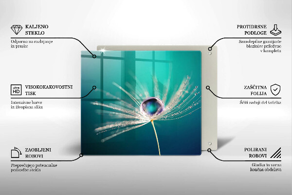 Induction hob cover Dew on a dandelion