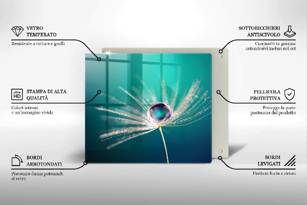 Induction hob cover Dew on a dandelion