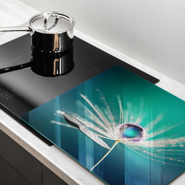 Induction hob cover Dew on a dandelion