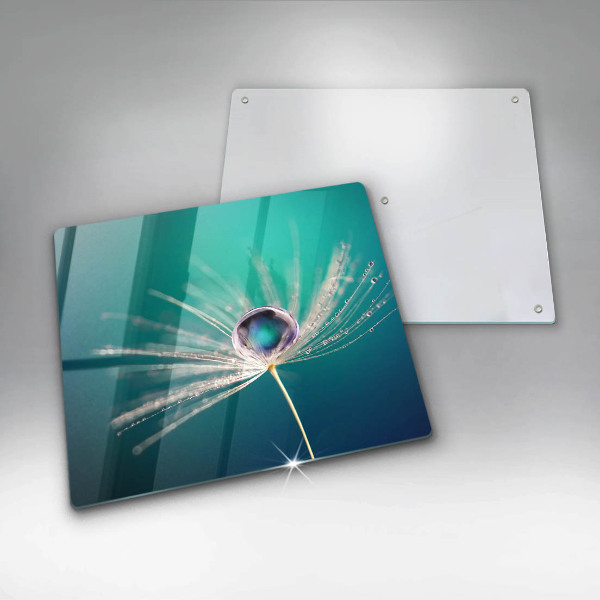 Induction hob cover Dew on a dandelion