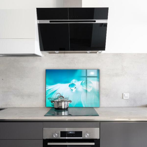 Kitchen splashback Dew on delicate feather