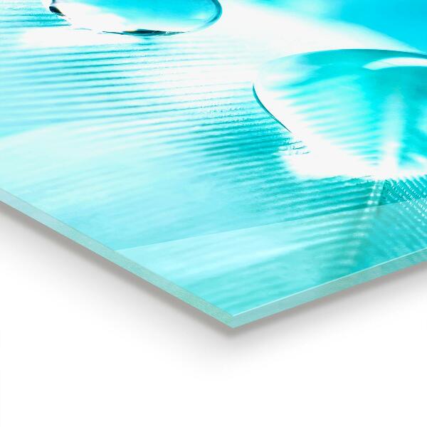 Kitchen splashback Dew on delicate feather