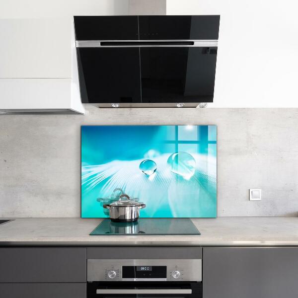 Kitchen splashback Dew on delicate feather