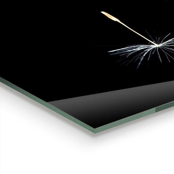 Kitchen splashback Dandelion dandelion in the wind