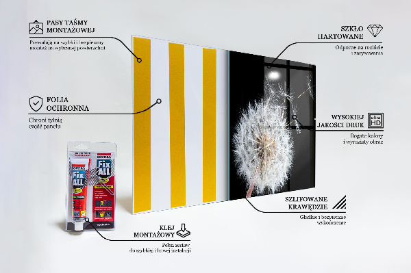 Kitchen splashback Dandelion dandelion in the wind