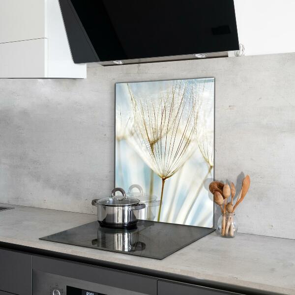 Kitchen splashback Dandelion dandelion in the wind