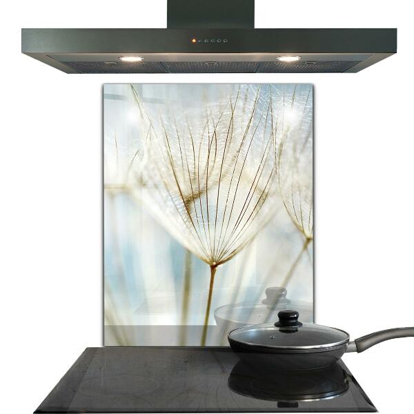 Kitchen splashback Dandelion dandelion in the wind