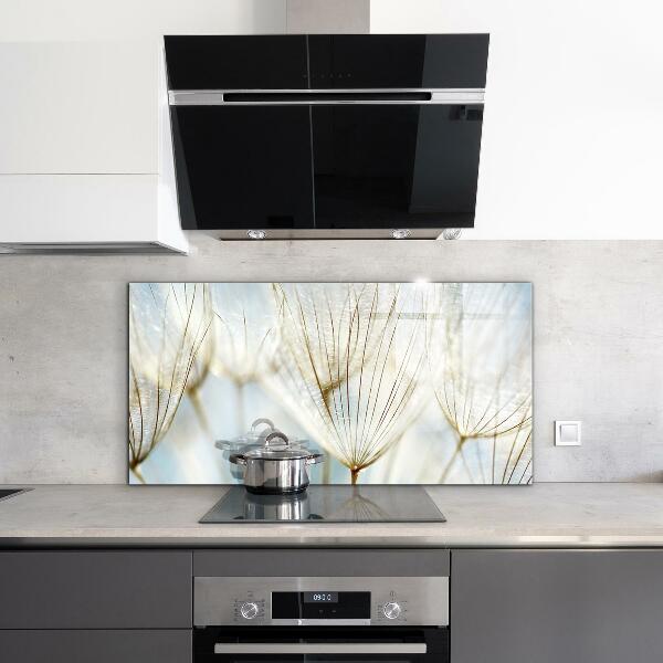 Kitchen splashback Dandelion dandelion in the wind