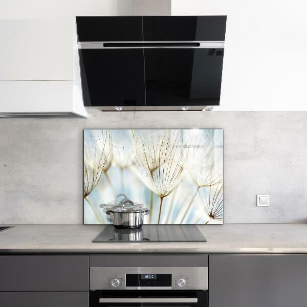 Kitchen splashback Dandelion dandelion in the wind