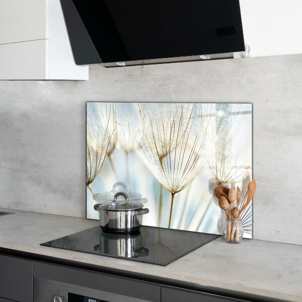 Kitchen splashback Dandelion dandelion in the wind