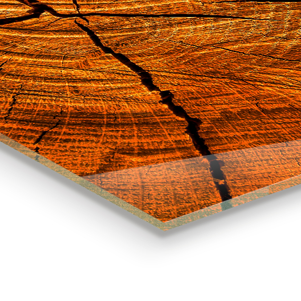 Oven splashback Trunk structure