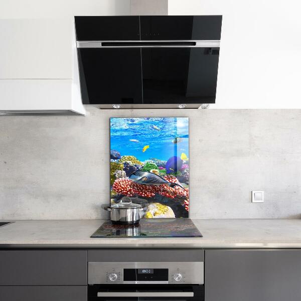 Cooker splashback Coral reef red sea