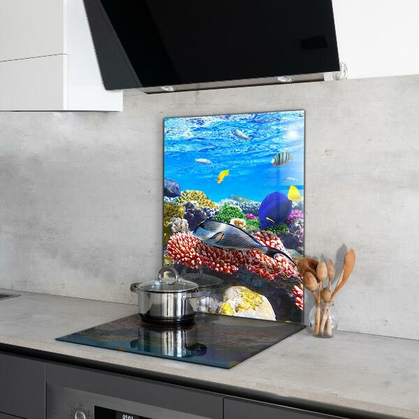 Cooker splashback Coral reef red sea