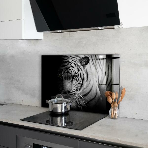 Cooker splashback White siberian tiger