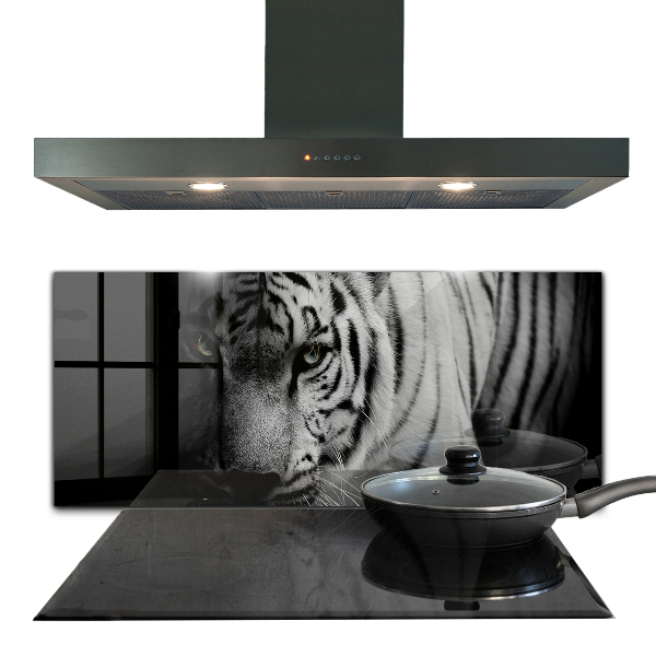 Cooker splashback White siberian tiger