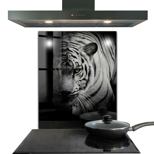 Cooker splashback White siberian tiger