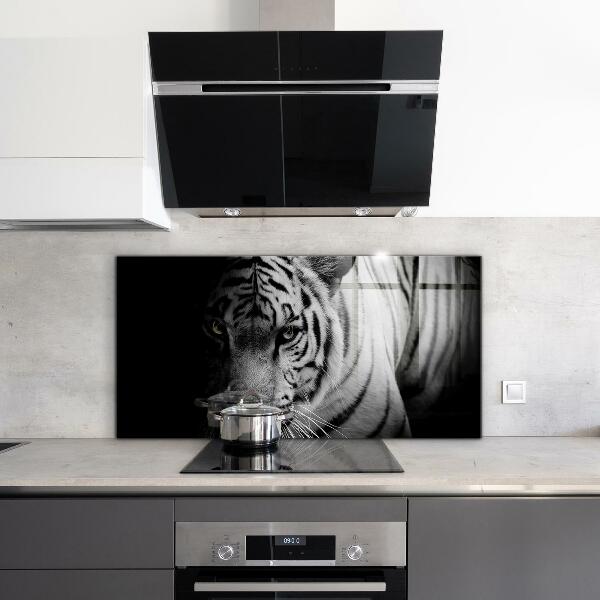 Cooker splashback White siberian tiger