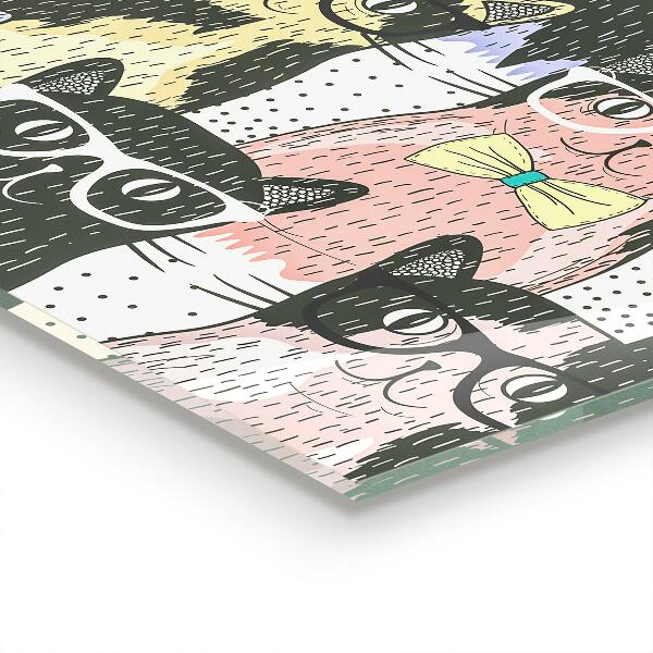 Cooker splashback Cat hipster funny illustration