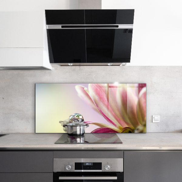 Kitchen splashback Flower with dew drop morning