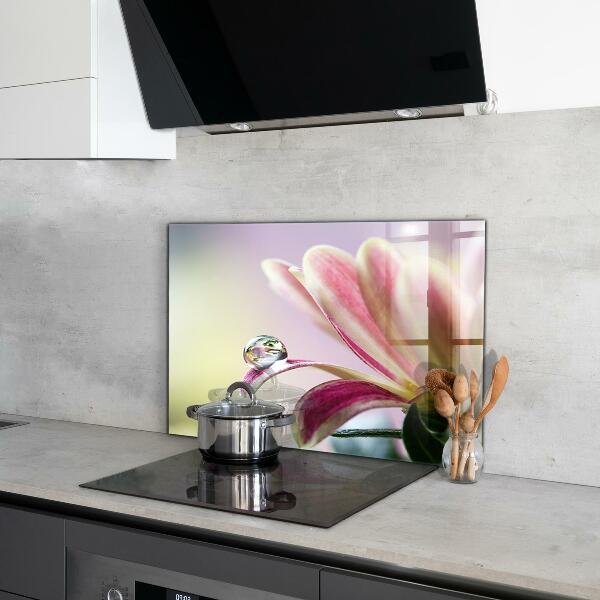 Kitchen splashback Flower with dew drop morning