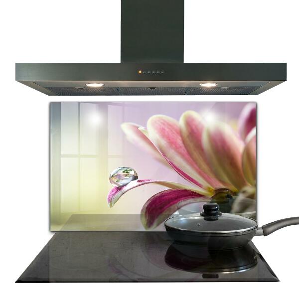 Kitchen splashback Flower with dew drop morning
