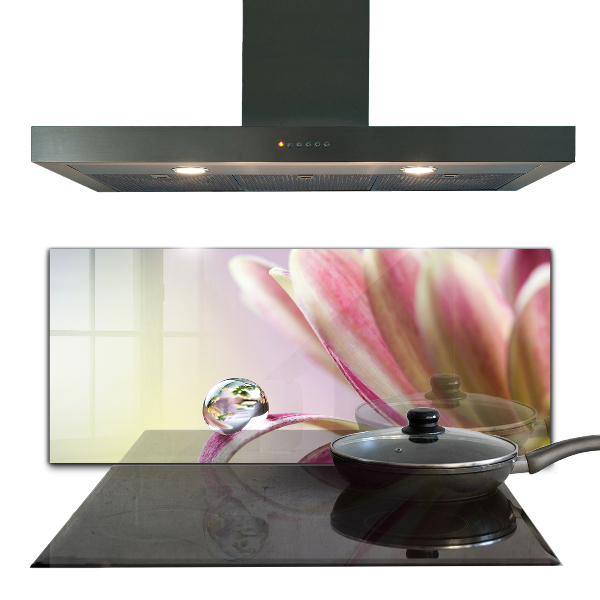 Kitchen splashback Flower with dew drop morning
