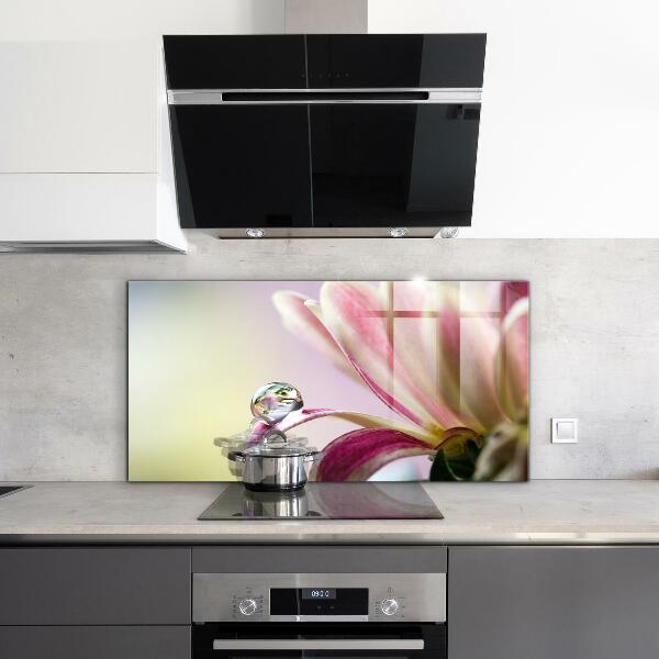 Kitchen splashback Flower with dew drop morning