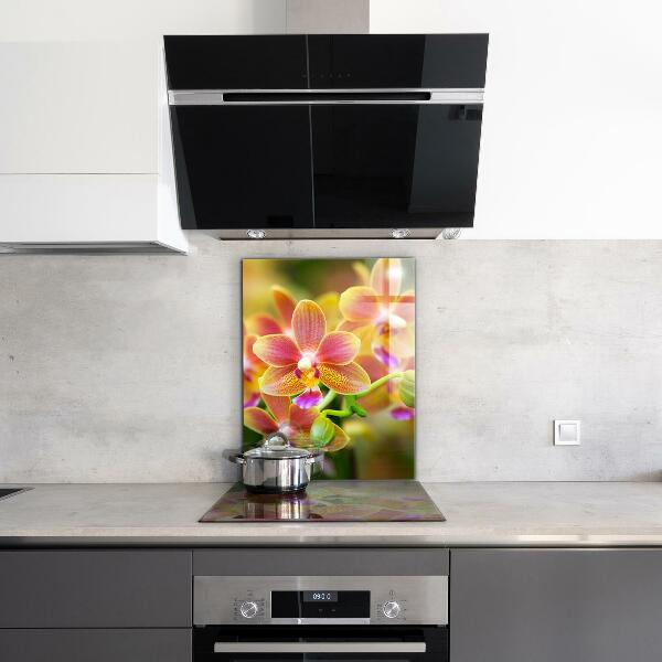 Kitchen splashback Orange orchid