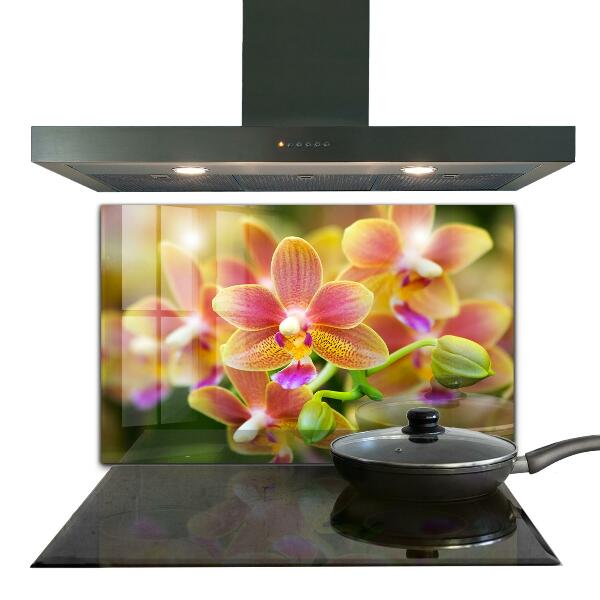 Kitchen splashback Orange orchid