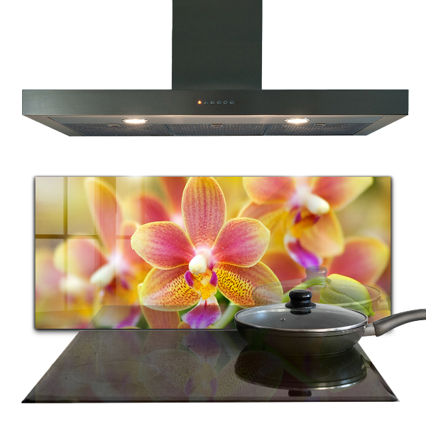 Kitchen splashback Orange orchid