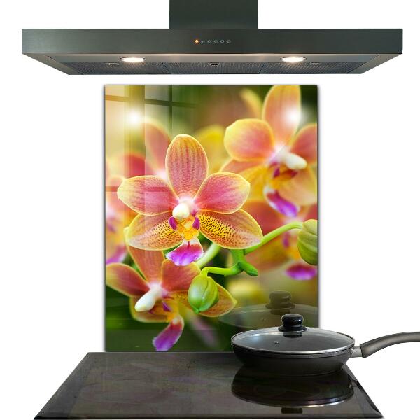 Kitchen splashback Orange orchid