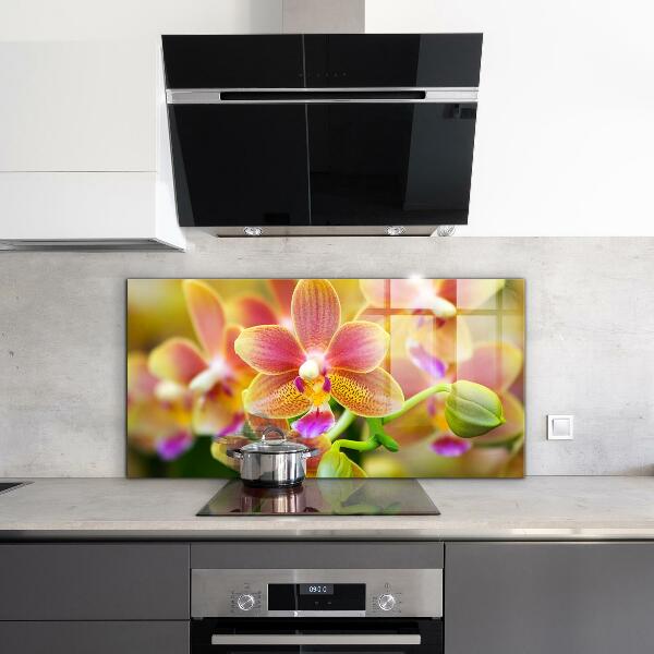 Kitchen splashback Orange orchid