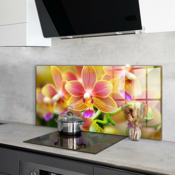 Kitchen splashback Orange orchid