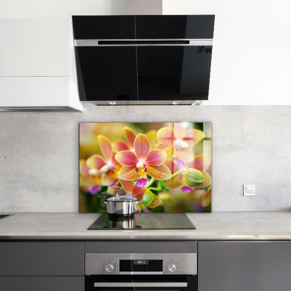 Kitchen splashback Orange orchid