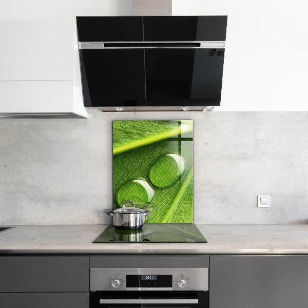 Kitchen splashback Dew drop on a leaf