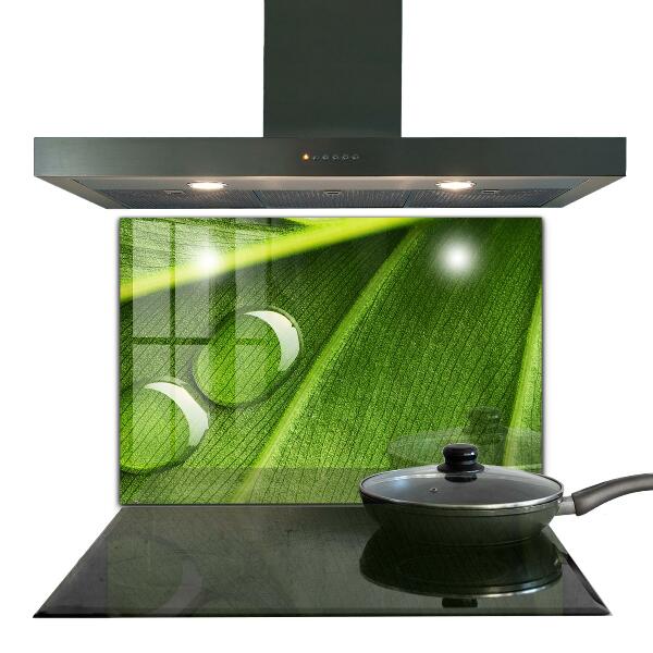Kitchen splashback Dew drop on a leaf
