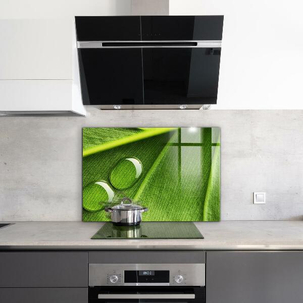 Kitchen splashback Dew drop on a leaf