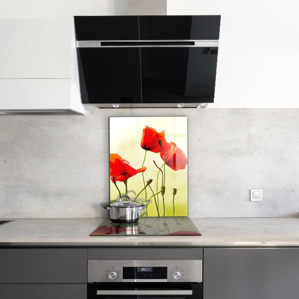 Kitchen splashback Field meadow with red poppies